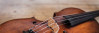 Die Bratsche: Charakter-Instrument mit warmem Klang