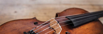 Die Bratsche: Charakter-Instrument mit warmem Klang