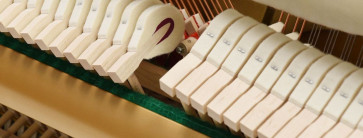 Klavier Reparatur