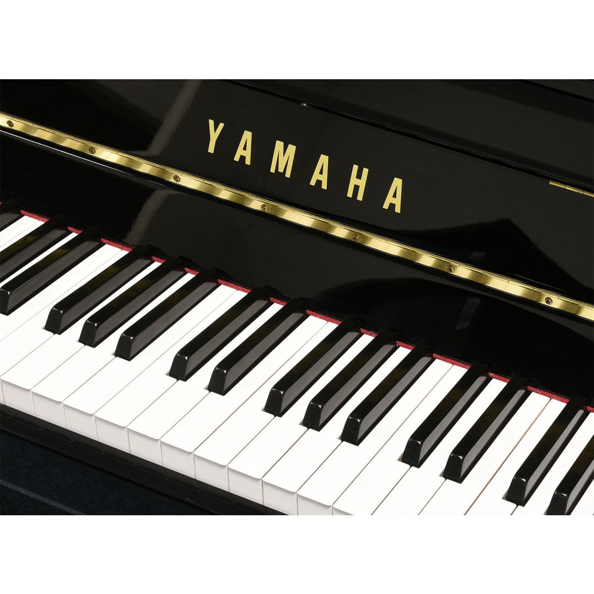 Yamaha b1sc2pe silent top