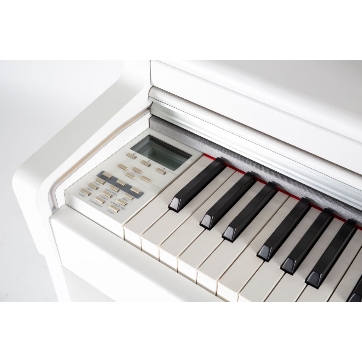 Musikinstrumente und Musikzubeh r