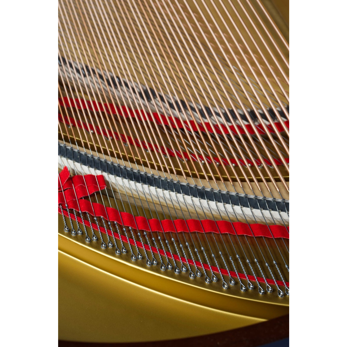 Steinway & Sons Flügel, M-170, Mahagoni, Ansicht: Detail, Saiten