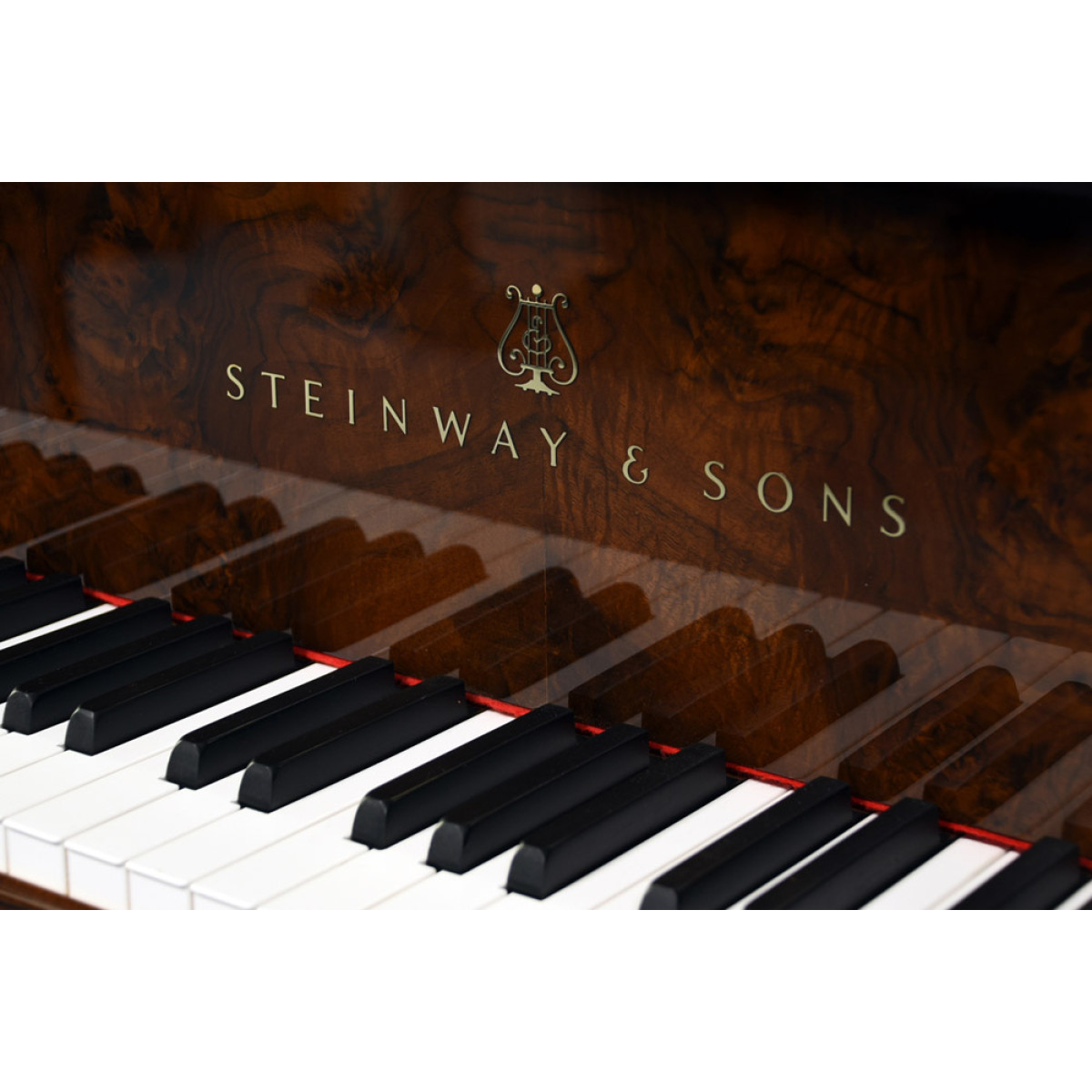 Steinway & Sons Flügel A-188 Wurzelholz Logo