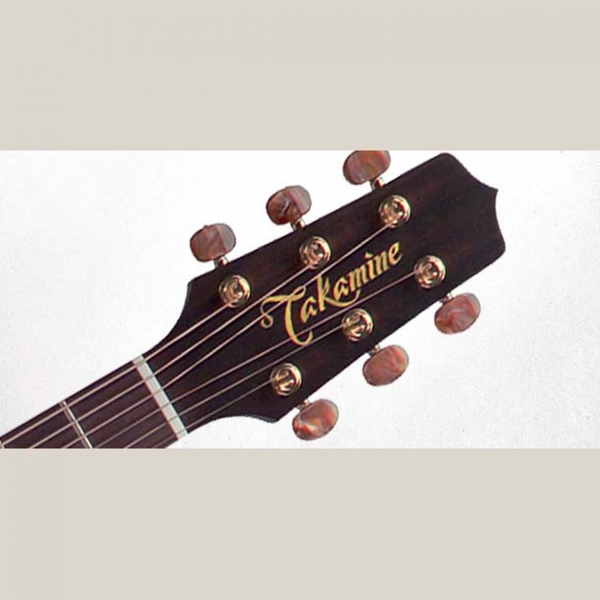 Takamine Westerngitarre TAN16C Musikinstrumente und Musikzubehör