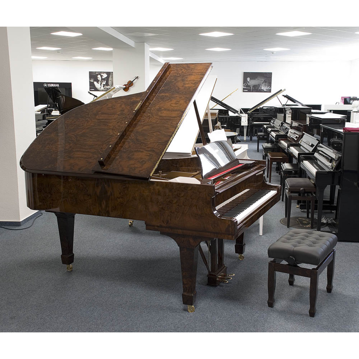 Steinway & Sons Flügel A-188 Wurzelholz seite