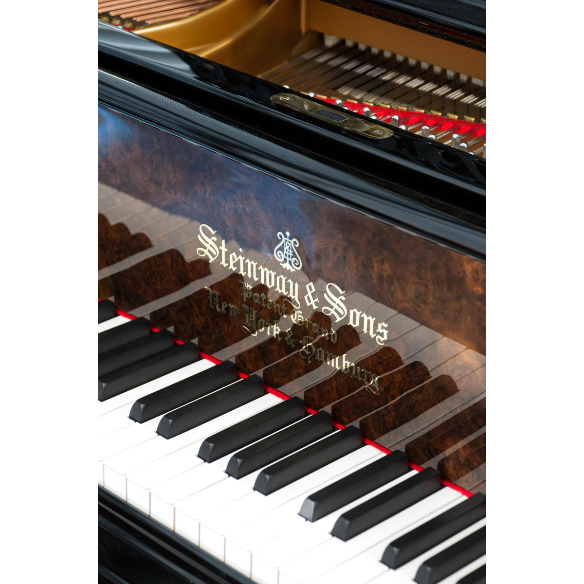 Steinway & Sons Flügel O-180 Wurzelholz mit schwarzen Akzenten, Bj. 1903