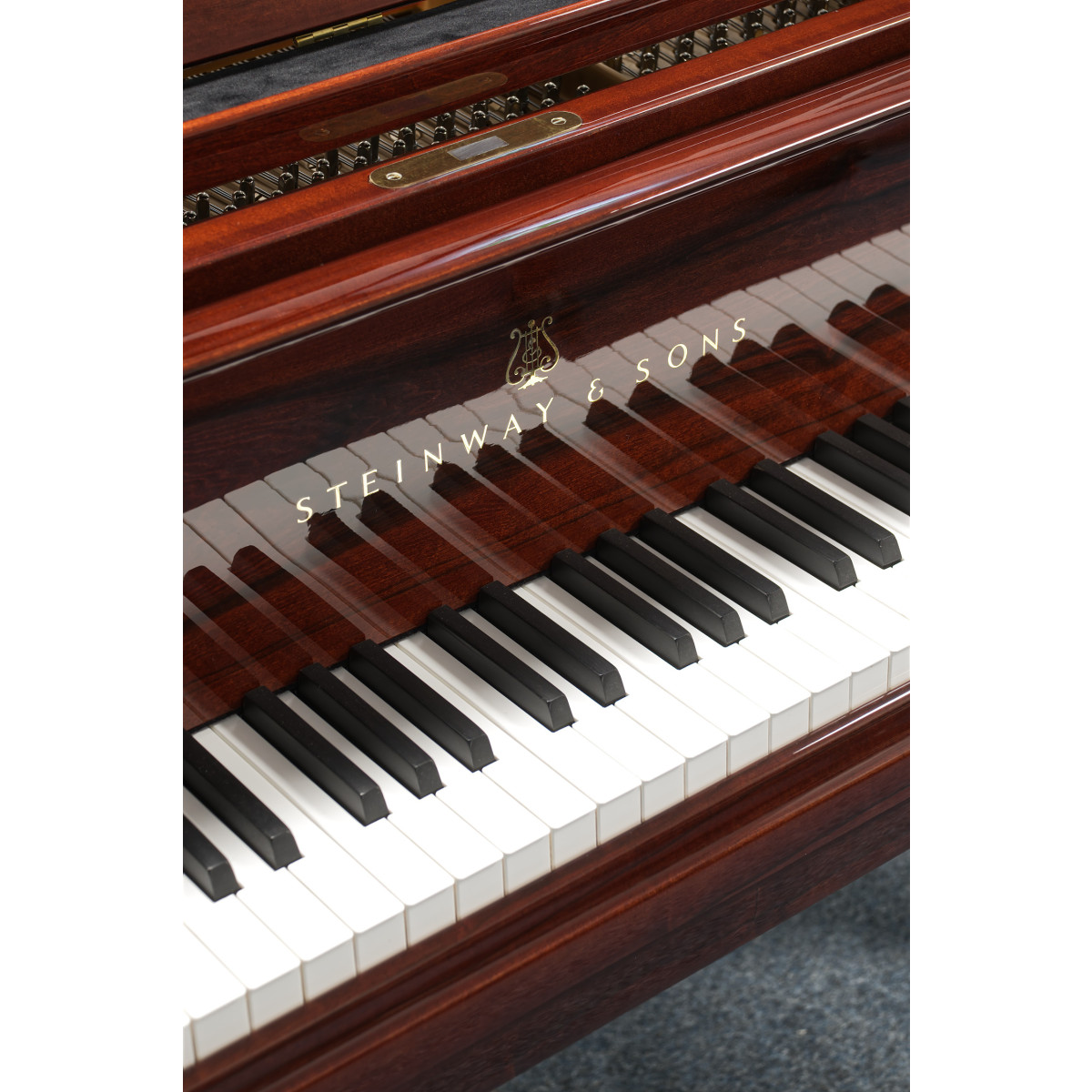Pianelli Steinway & Sons Flügel, S-155, Palisander, gebraucht, Bj. 1945, Ansicht: Klaviatur