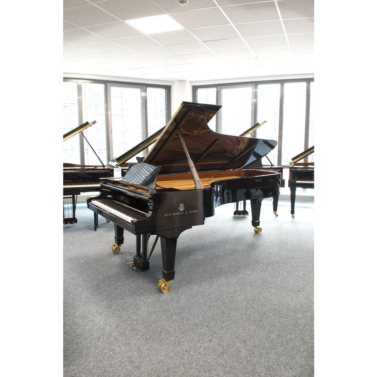 Steinway & Sons Flügel, Modell D-274, Bj. 1893, gebraucht kaufen bei Pianelli.de