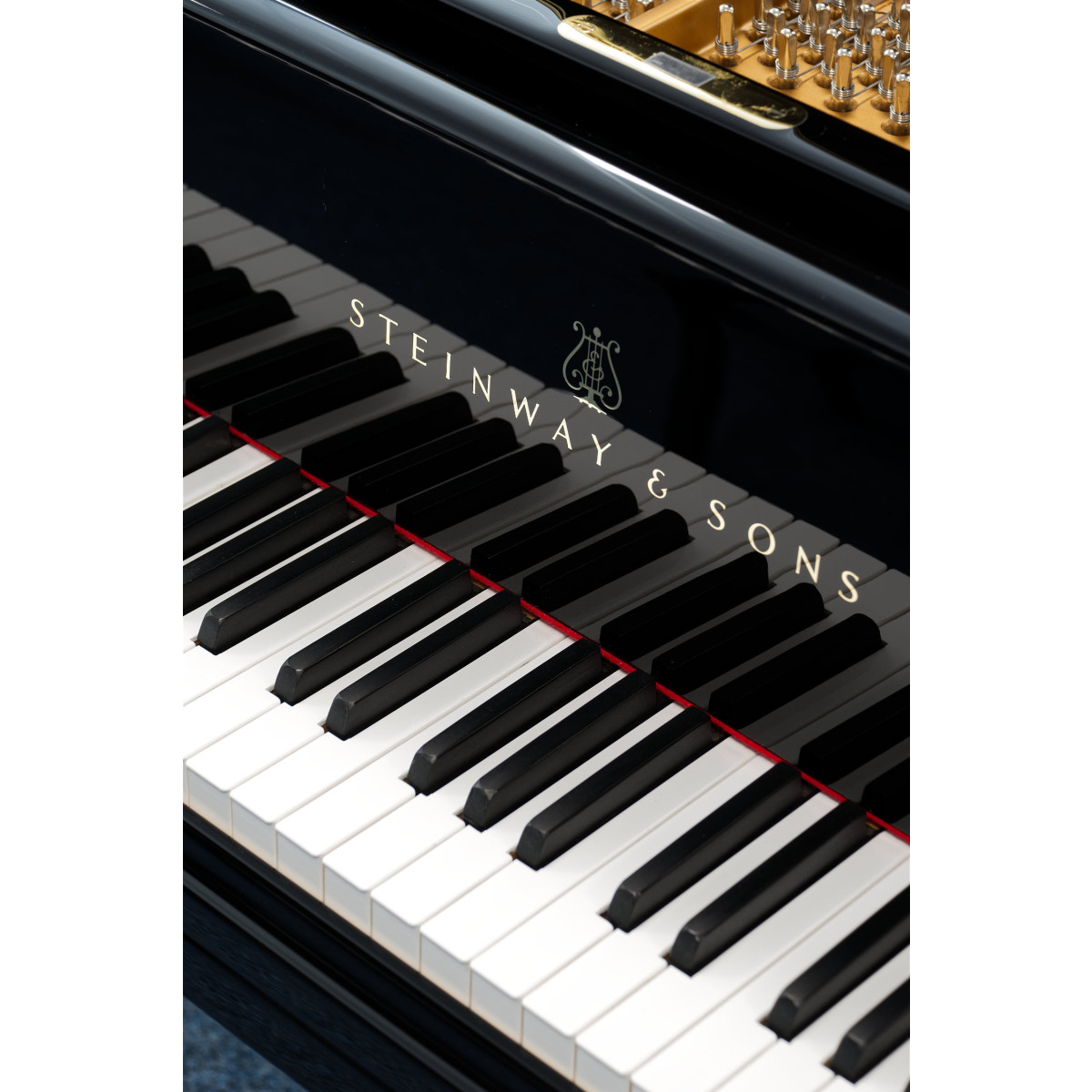 Steinway & Sons Flügel, Modell D-274, Bj. 1893, Ansicht: Klaviatur
