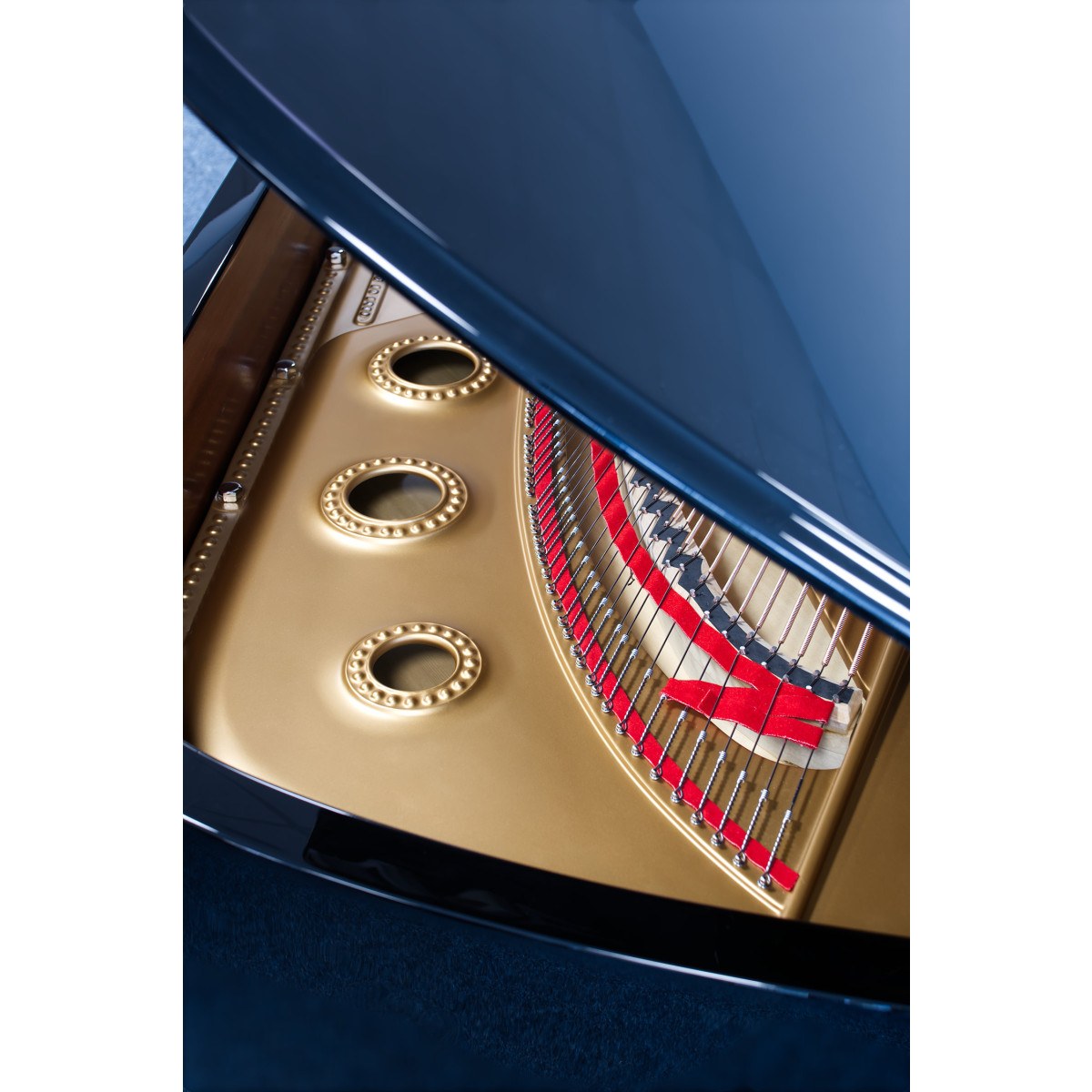 Steinway & Sons Flügel, Modell D-274, Bj. 1893, Ansicht: Saiten