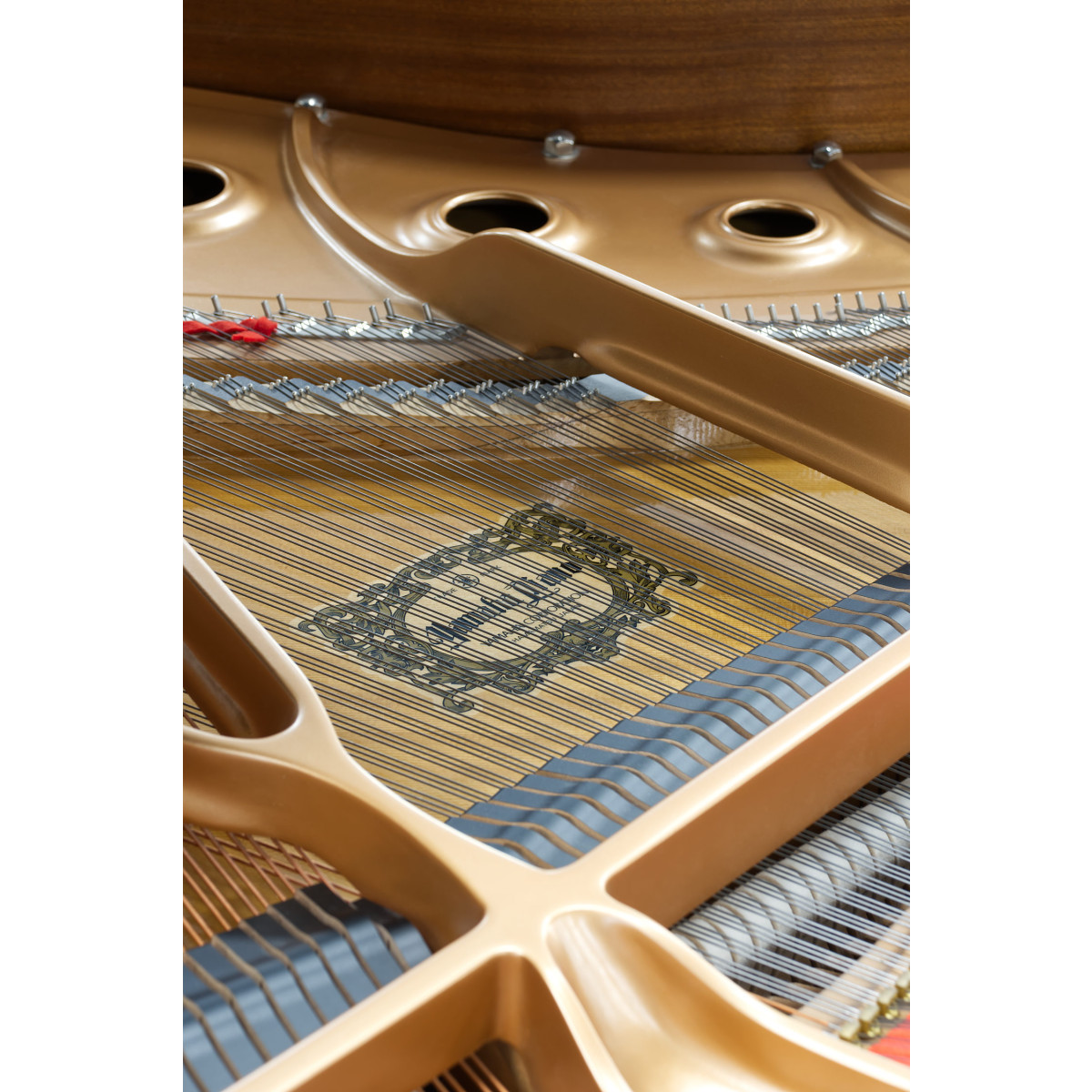 Yamaha C1 Flügel gebraucht kaufen bei Pianelli, Ansicht: Details Innen