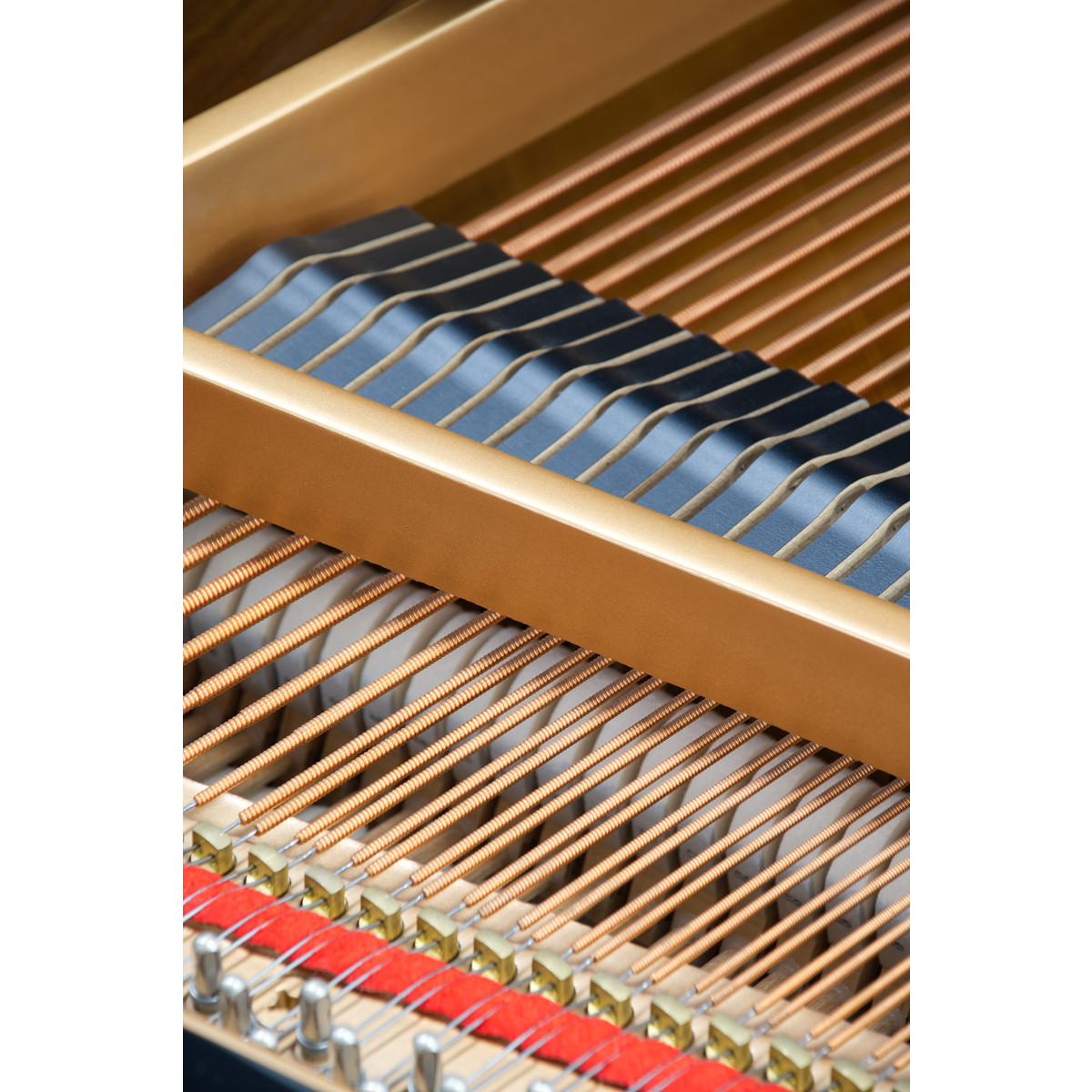 Yamaha C1 Flügel gebraucht kaufen bei Pianelli, Ansicht: Innen