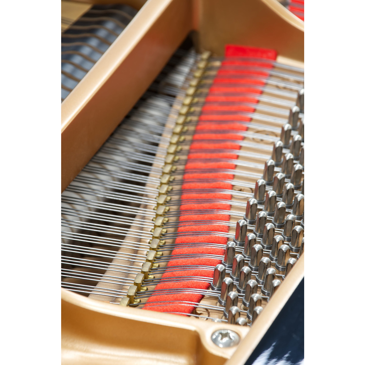 Yamaha C1 Flügel gebraucht kaufen bei Pianelli, Ansicht: Innen