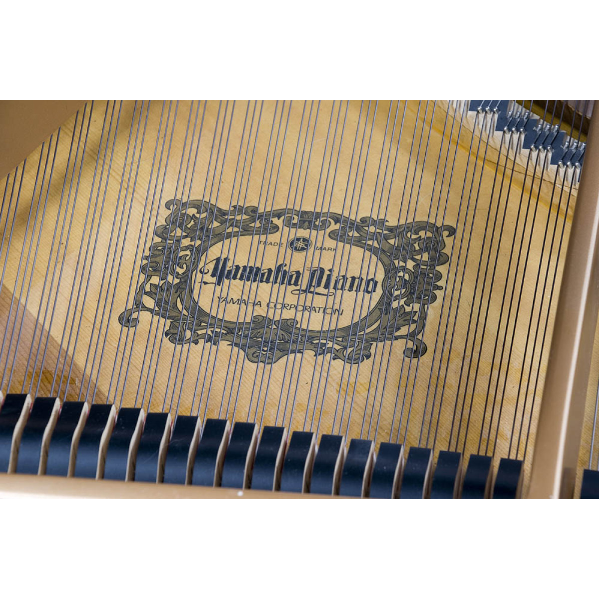 Yamaha GB1 gespielt - Resonanzboden