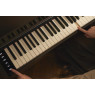 Das Casio Celviano Digitalpiano Epiano AP-S450 BN in braun kaufen bei Pianelli