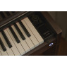 Das Casio Celviano Digitalpiano Epiano AP-S450 BN in braun kaufen bei Pianelli