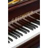 C. Bechstein Flügel, Modell B, Berlin, Palisander, Sheraton Stil, Baujahr 1902, Ansicht: Klaviatur