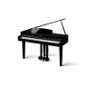 Kawai DG 30
