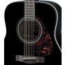 F370 Gitarre schwarz