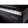 Gewa ePiano DP300 schwarz, made in germany