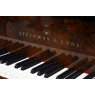 Steinway & Sons Flügel A-188 Wurzelholz Logo