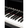 Pianelli Yamaha N1X Avant Grand Hybrid Piano gebrauchter Mietrückläufer, Ansicht: Tastatur