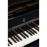 Steinway & Sons Flügel, M170, gebraucht, Bj. 1922, Ansicht: Klaviatur