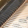Steinway & Sons, Modell S-155 gebraucht kaufen Pianelli, Ansicht: Dämpfung