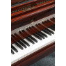 Pianelli Steinway & Sons Flügel, S-155, Palisander, gebraucht, Bj. 1945, Ansicht: Klaviatur