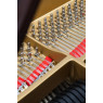 Pianelli Steinway & Sons Flügel, S-155, Palisander, gebraucht, Bj. 1945, Ansicht: Stimmwirbel, Details Innen