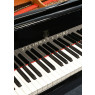Steinway Logo