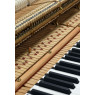 Steinway & Sons Modell A-188 Mechanik