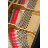 Steinway & Sons Flügel, Modell D-274, Bj. 1893, Ansicht: Stimmwirbel