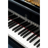 Steinway & Sons Flügel, Modell D-274, Bj. 1893, Ansicht: Klaviatur