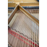 Steinway & Sons Flügel, Modell D-274, Bj. 1893, Ansicht: Saiten