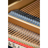 Yamaha C1 Flügel gebraucht kaufen bei Pianelli, Ansicht: Innen