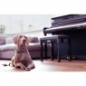 Yamaha CLP 785 B Lifestylefoto mit Hund