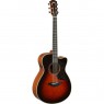 Yamaha AC3M TBS Tobacco Brown Sunburst