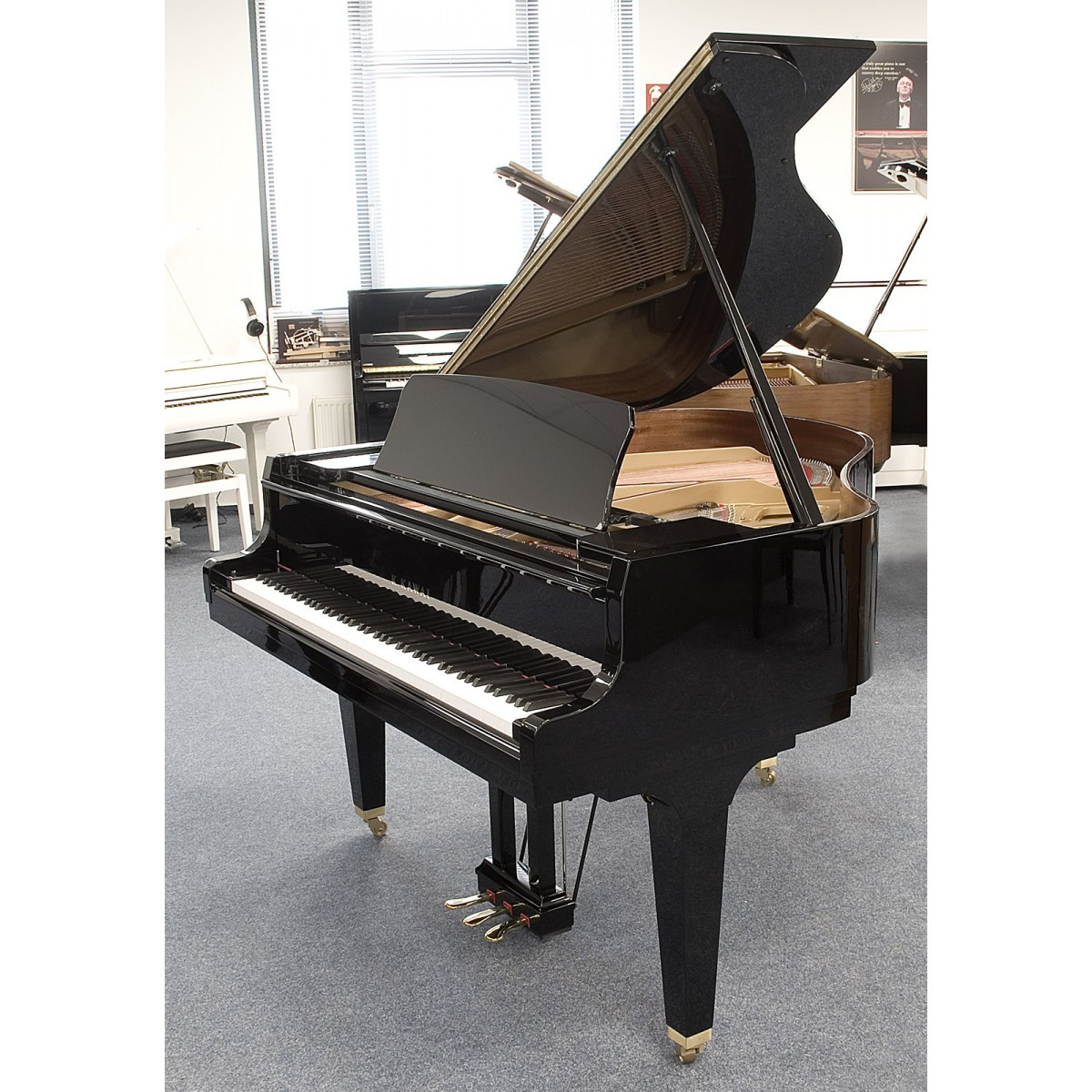 Kawai gl10 silent cheap