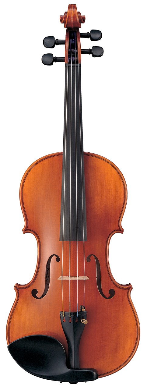 Yamaha V10G