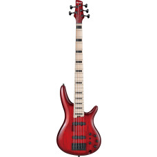 IBANEZ Adam Nitti Signature E-Bass in Transparent Wine Red Burst ANB205-TWB