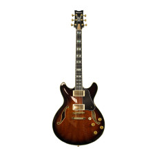 E-Gitarre Ibanez JSM100-VT John Scofield