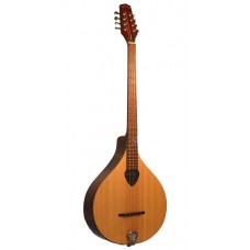 Irische Bouzouki Mandoline mit Hartschalenkoffer