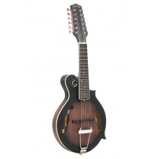 12-Saiter Gitarren-Mandoline mit F-Stil Korpus, Tonabnehmer und Case