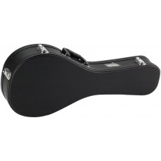Koffer für Bluegrass Mandoline