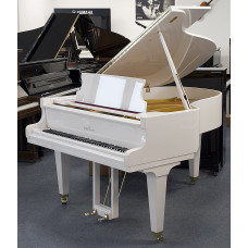 Schimmel Flügel, weiss