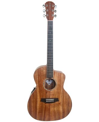 Cole Clark SAN1EC-BLBL