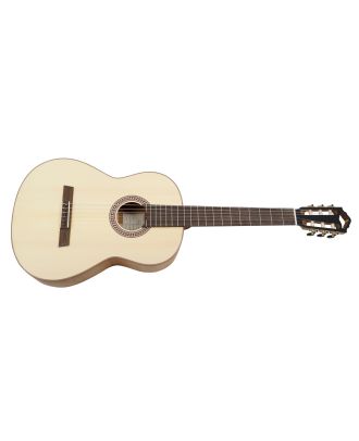 Höfner Green Line Meister Gitarre HM83