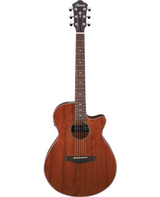 Ibanez Westerngitarre AEG220-LGS
