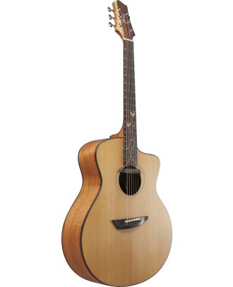 IBANEZ Jon Gomm Signature Akustikgitarre 6-String mit Glasfaser-Koffer